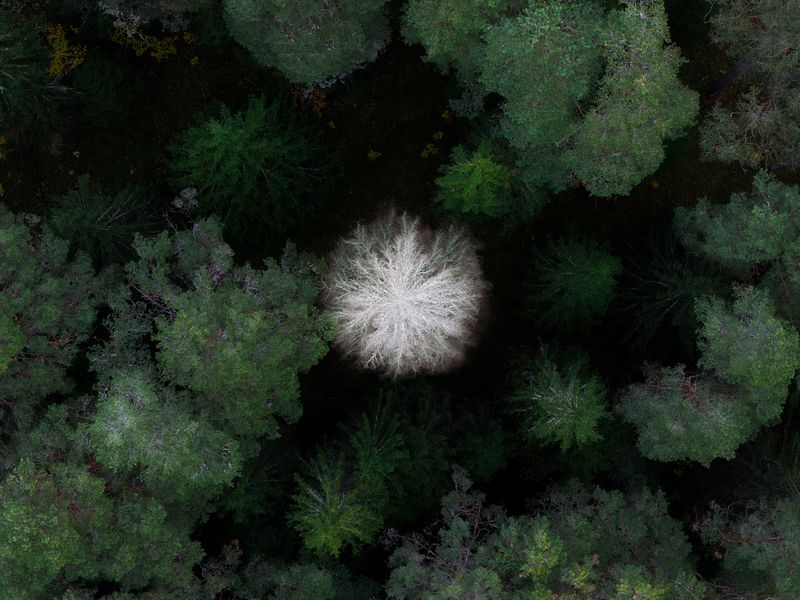 Валаам Валаамские фактуры фото превью