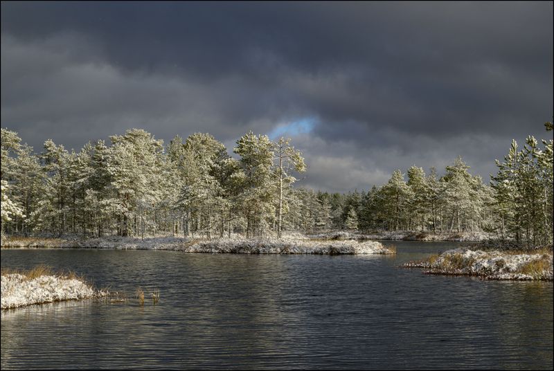 Праздник первого снега фото превью