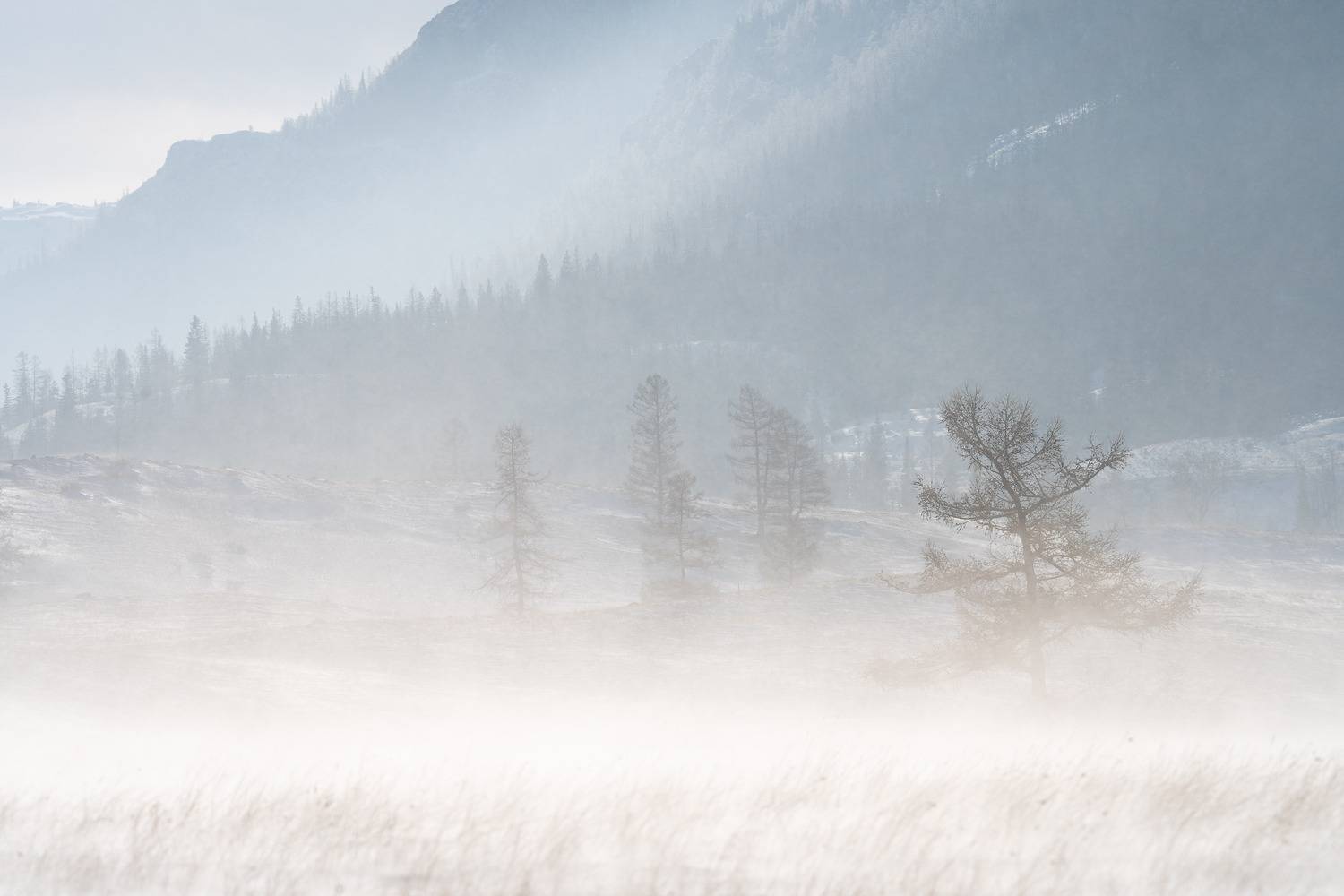 , Важенин Евгений