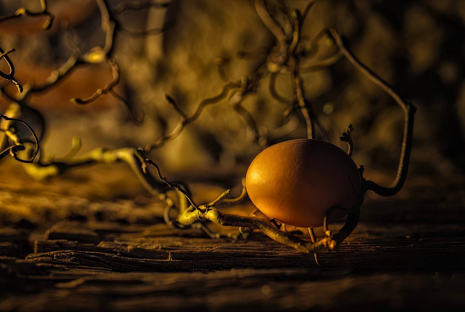 Концептуальная фотография , Igor Lukin