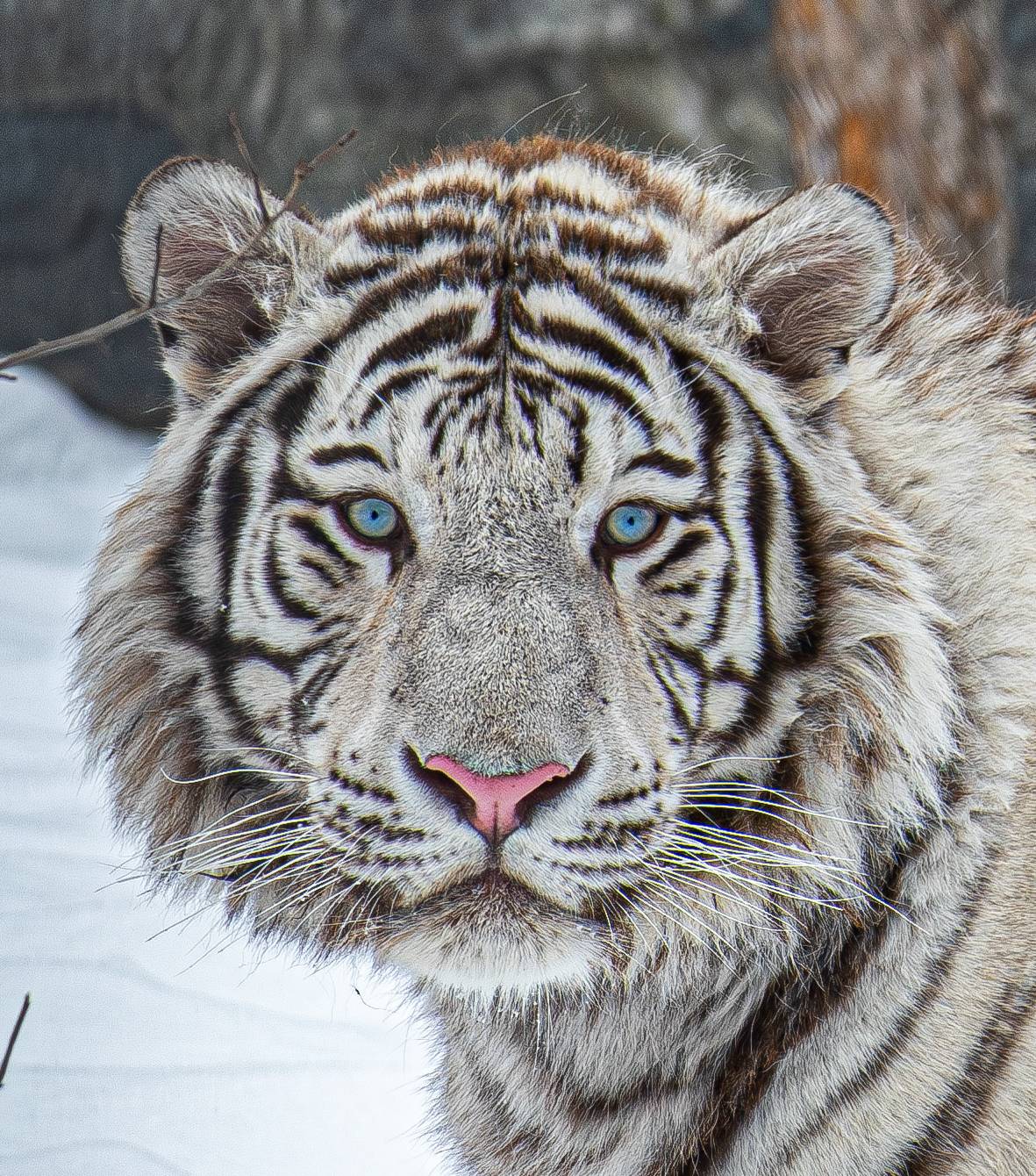 , Михаил Измайлов