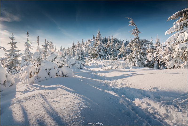 polska, beskidy, góry, zima *** фото превью