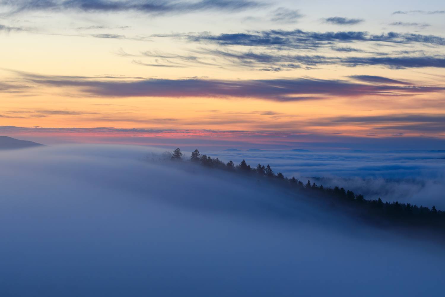 ,  Mirosław Pruchnicki