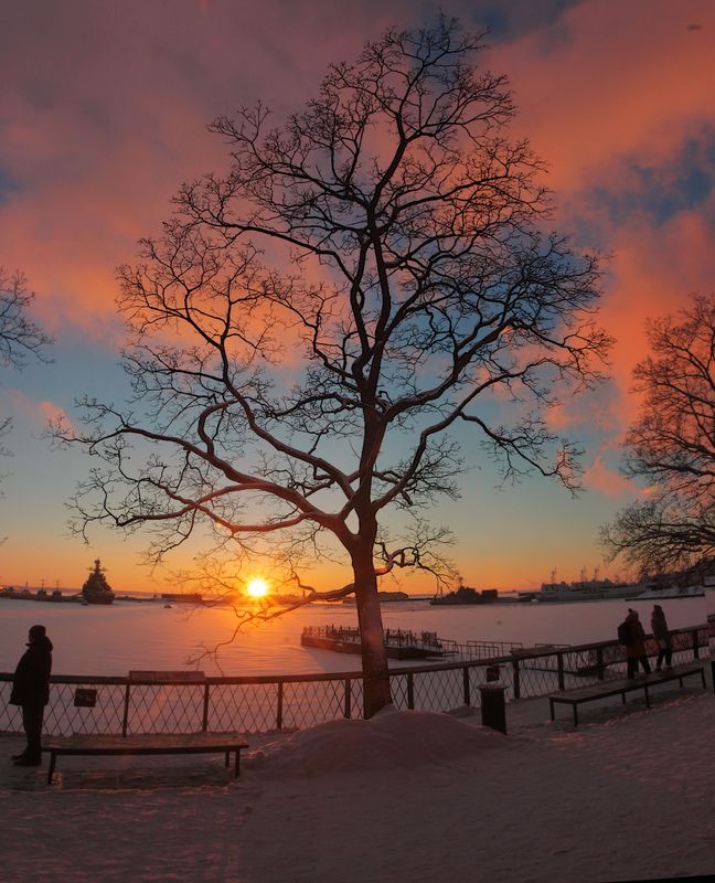 *** фото превью