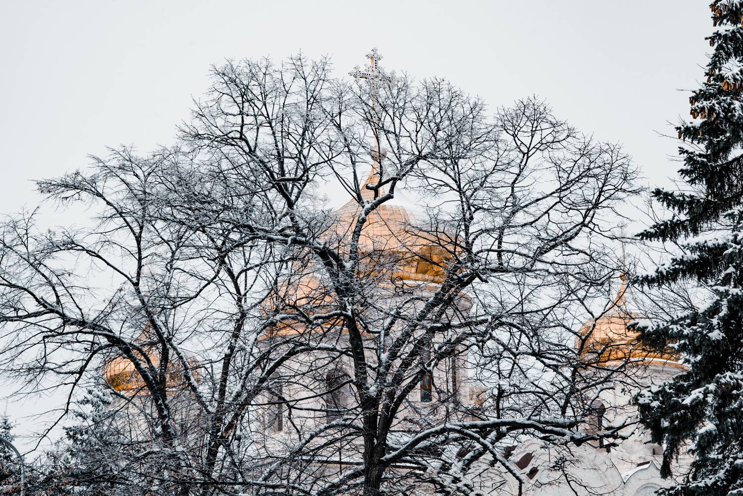 Россия, Ставропольский край, Пятигорск, Спасский собор, Гаврилов Юрий