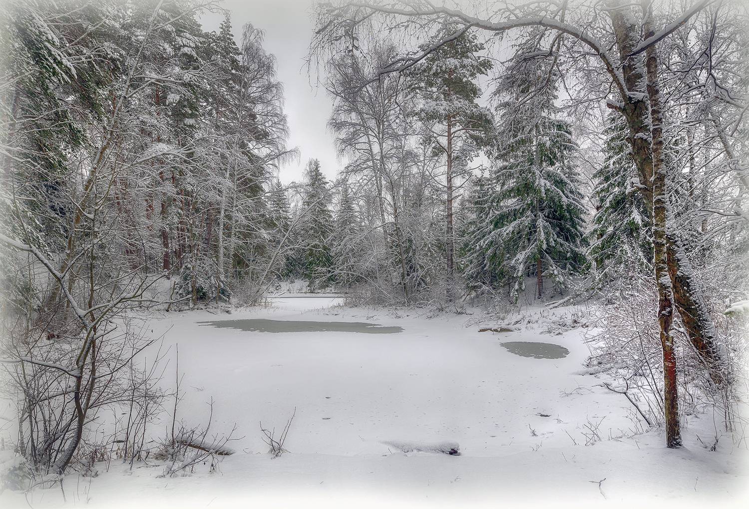 , Сергей Аникин