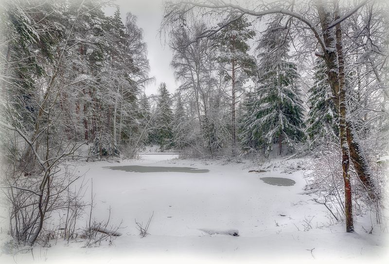 *** фото превью