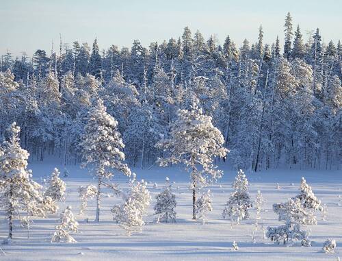 Север в объятиях зимы