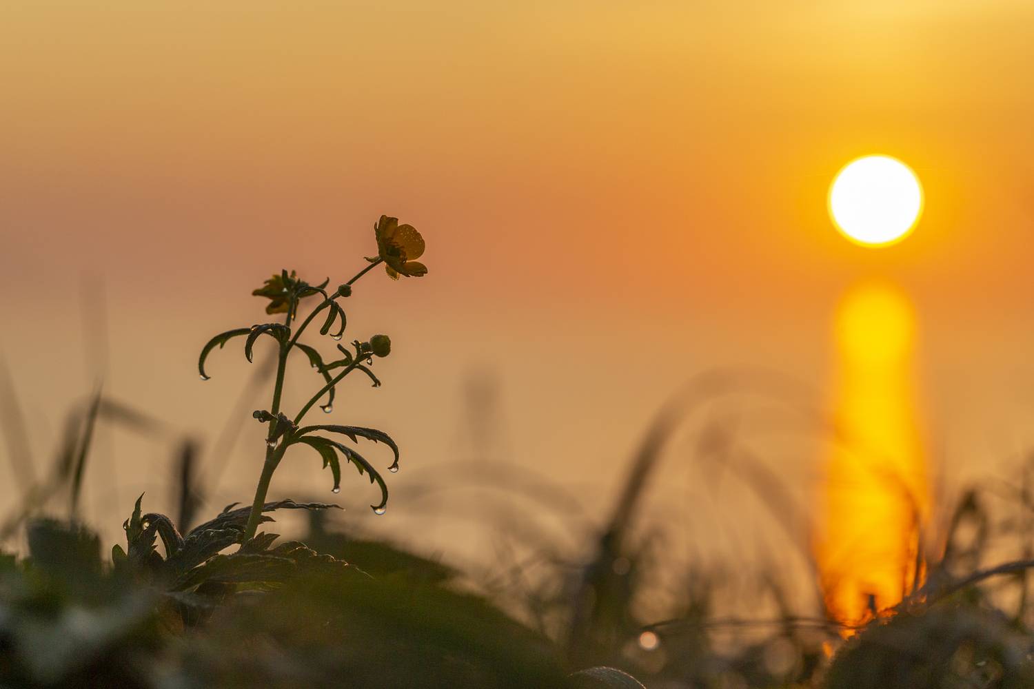 рассвет,итуруп,курильские острова, Башкин Георгий