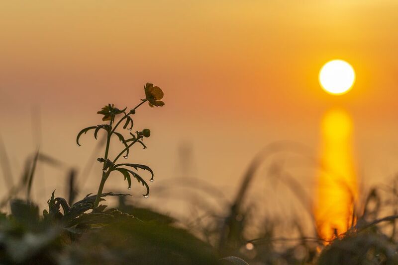 Курильский рассвет фото превью
