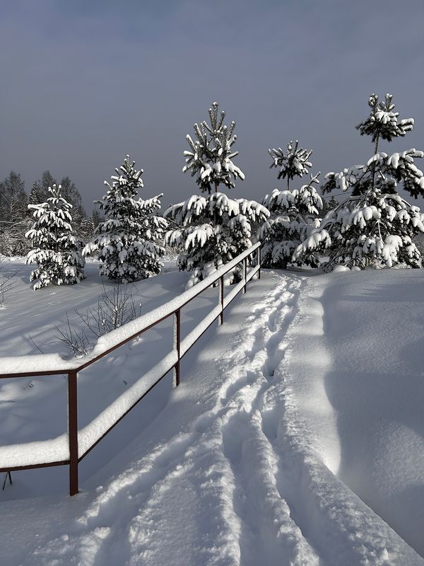 С Рождеством! фото превью