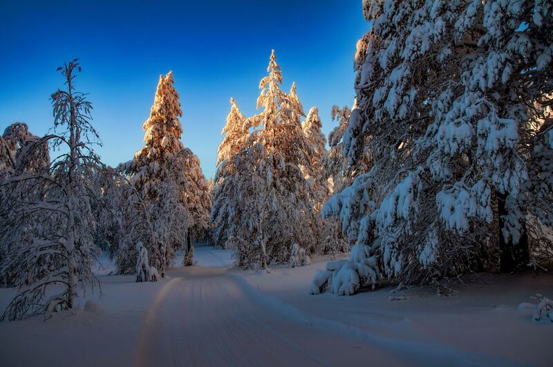 Вечерняя трасса фото превью