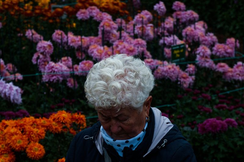 Бал хризантем фото превью