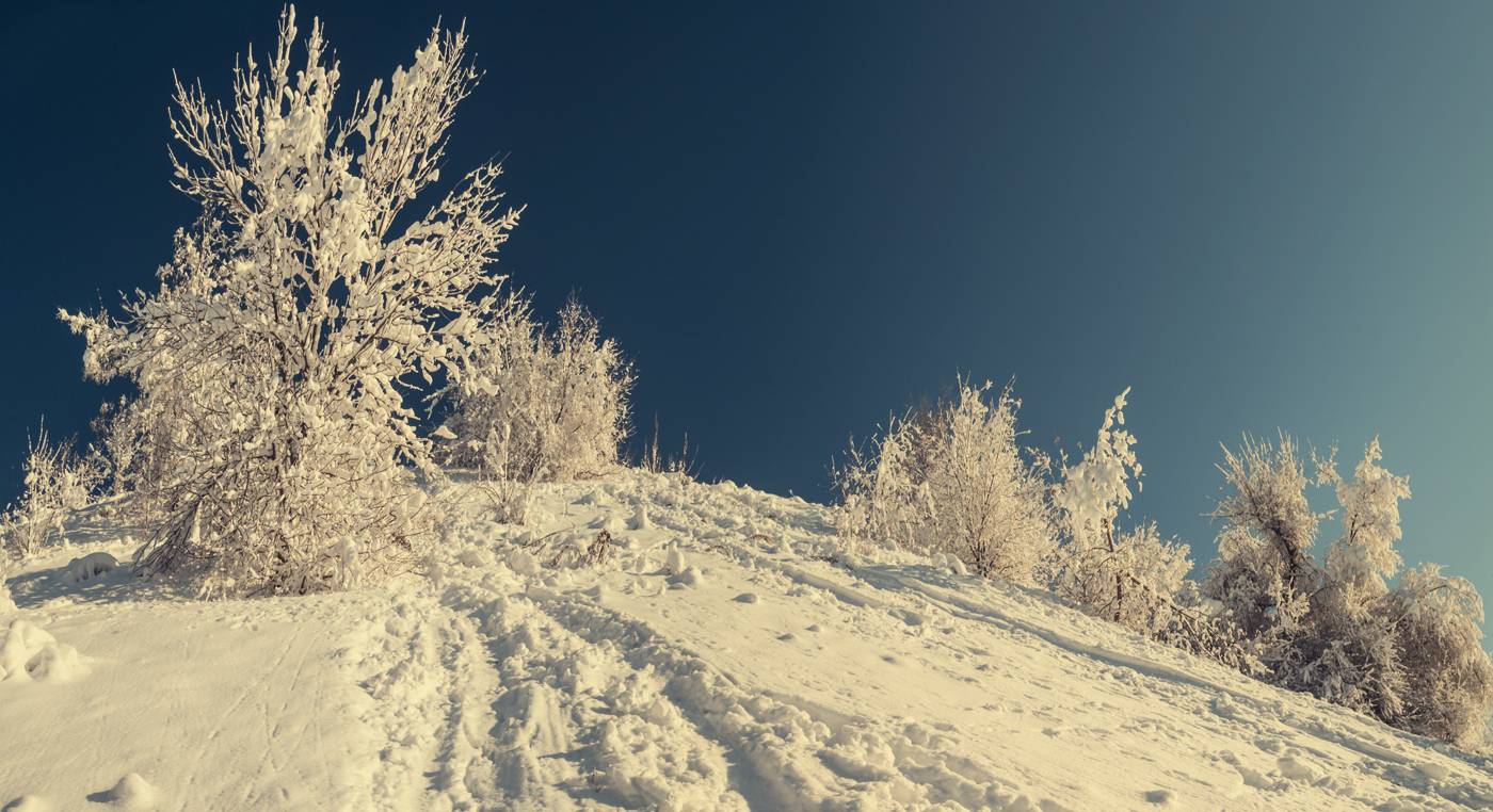 , Мелекесцев Игорь