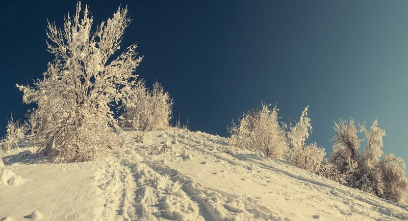 С Рождеством! фото превью