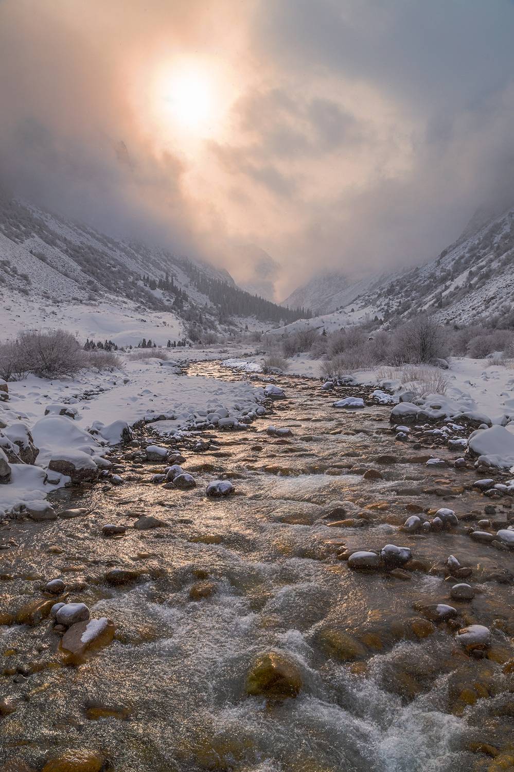 кыргызстан, ала-арча, Элина Магалимова