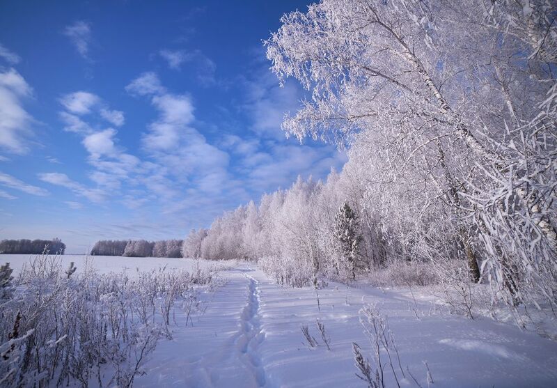 В Рождество фото превью
