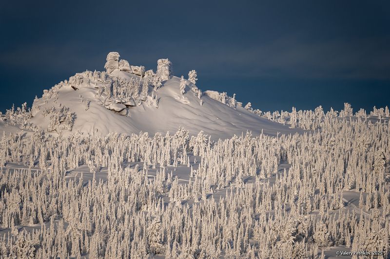 шерегеш, иней, пихты, снег, гора зелёная, горная шория, зимний вечер, розовый вечер, мороз, зима, сибирь Припорошило…) фото превью