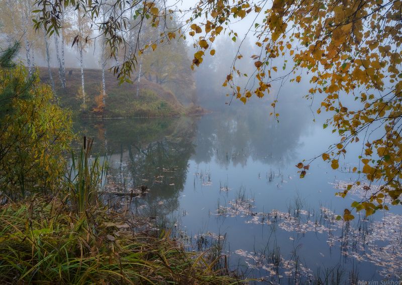 Осень, озеро, листья, туман, камыш, березы, пруд Осеннее озеро фото превью