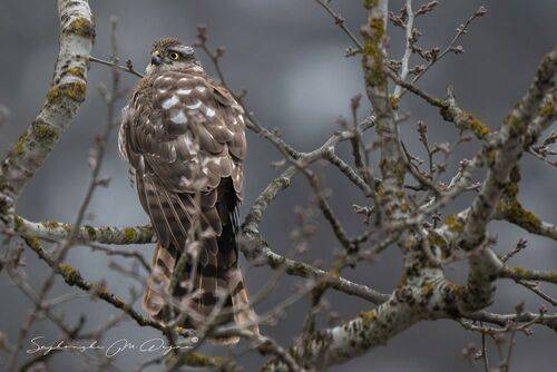 Nature | Wildlife Photography | Adventure