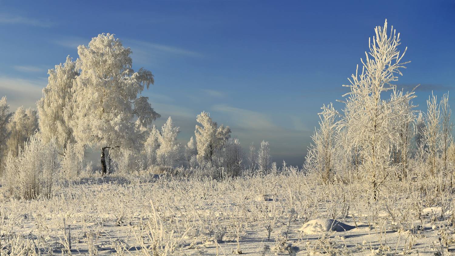 , Алексей Хахлов