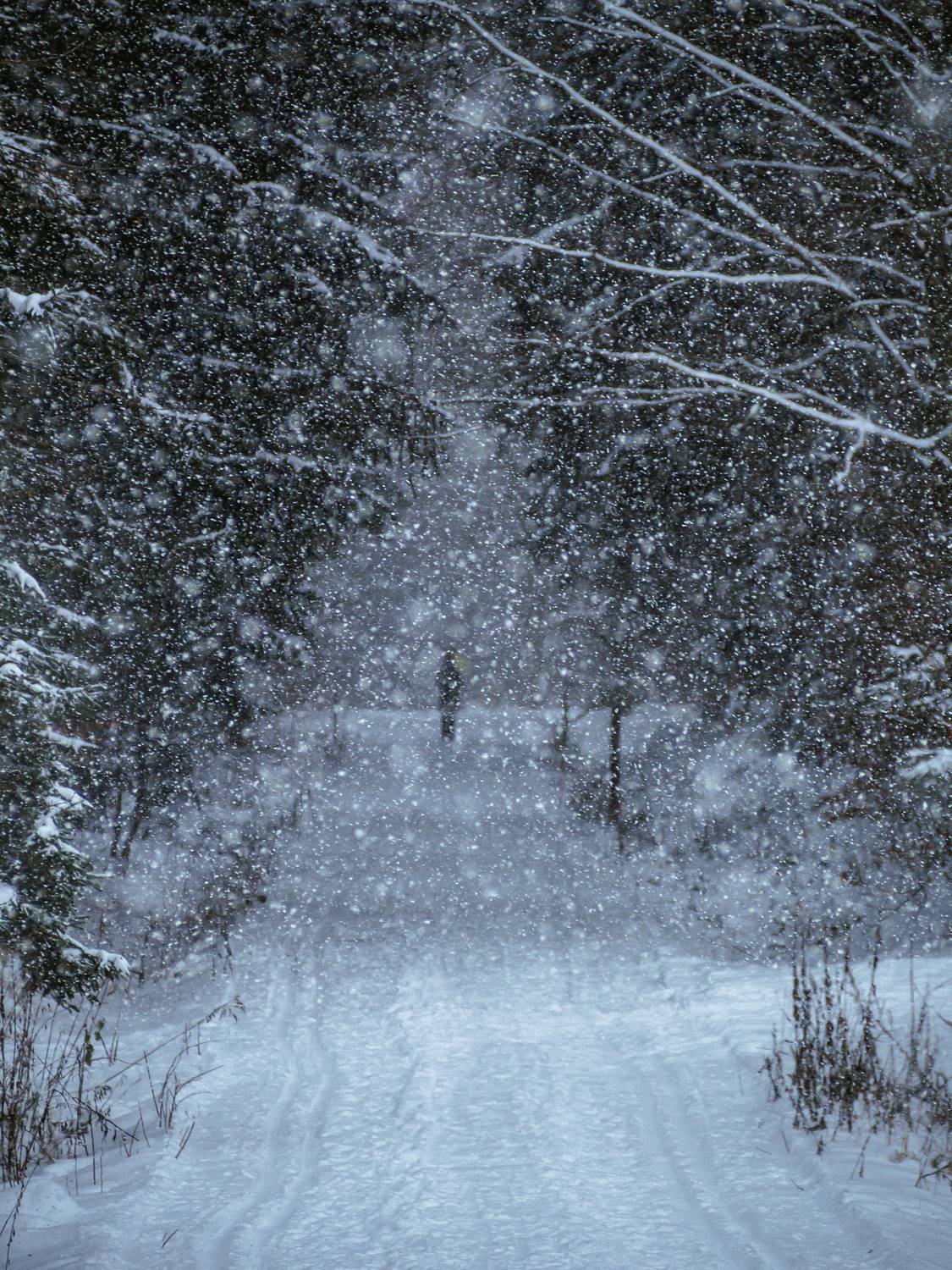 snow,snowy,winter,storm,snowing,people, Slavom&iacute;r Gajdo&scaron;