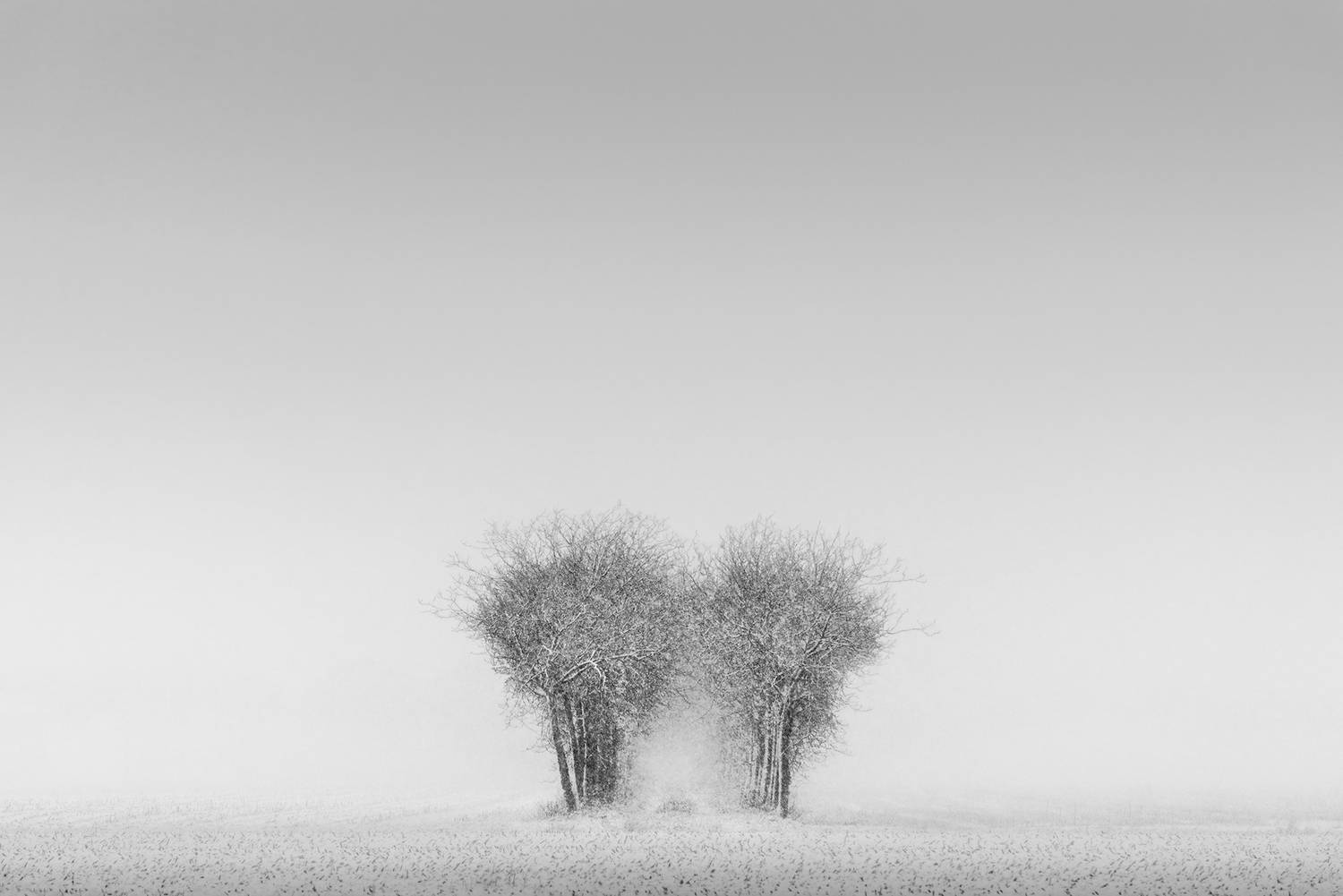 , de Franzoni Thomas