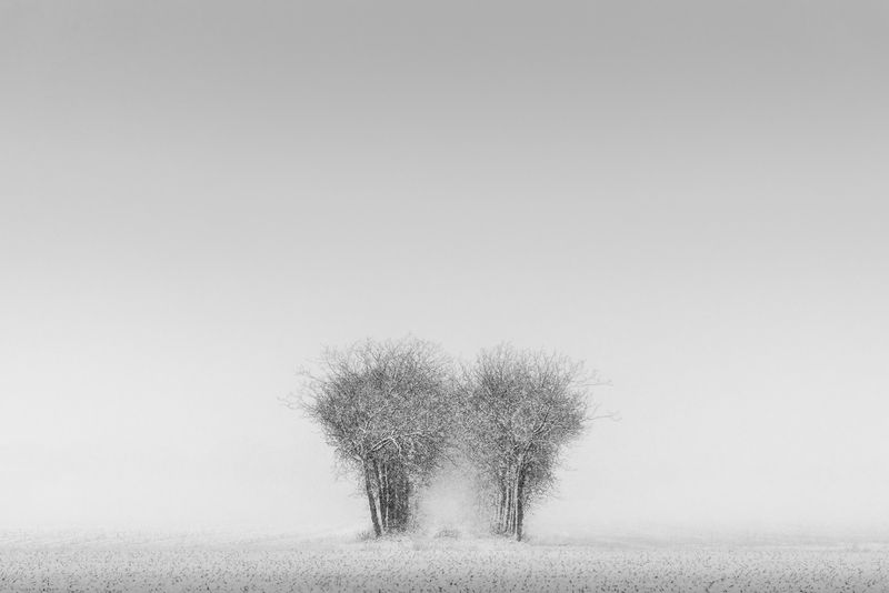 Breath of the Invisible фото превью