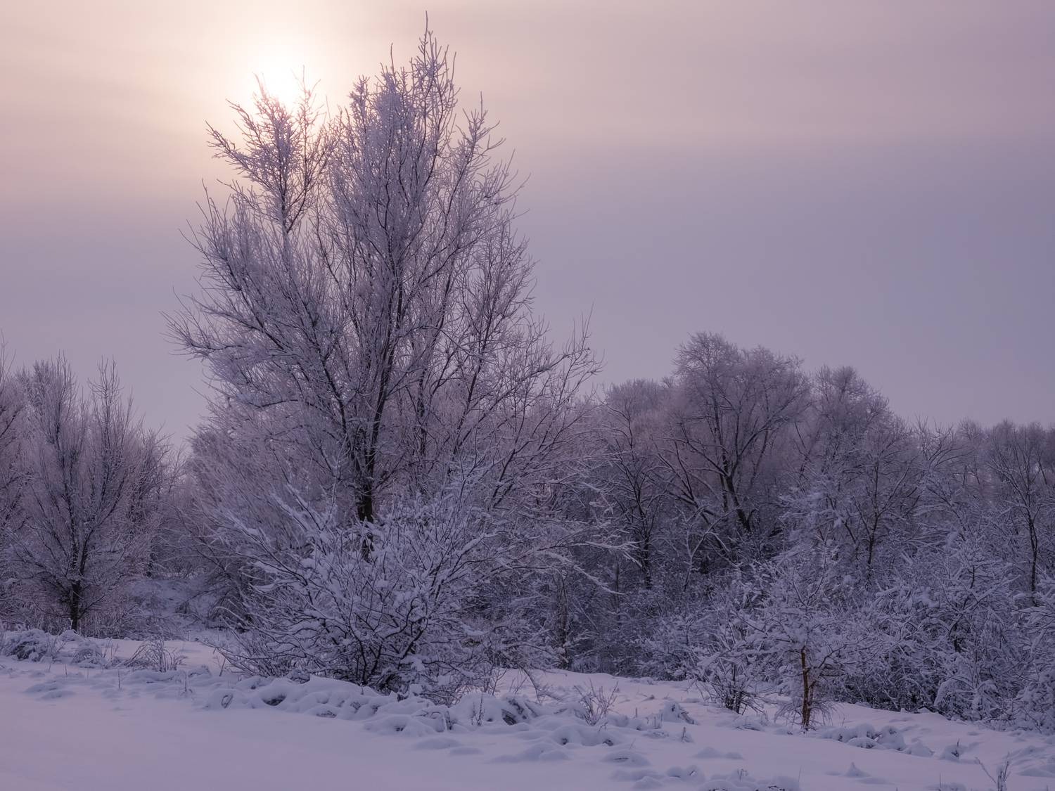 , Игорь Кабанов