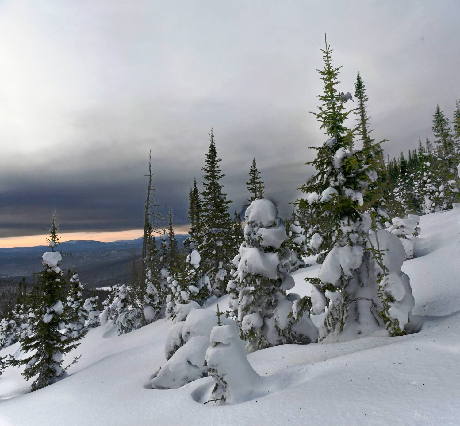 , Крат Светлана