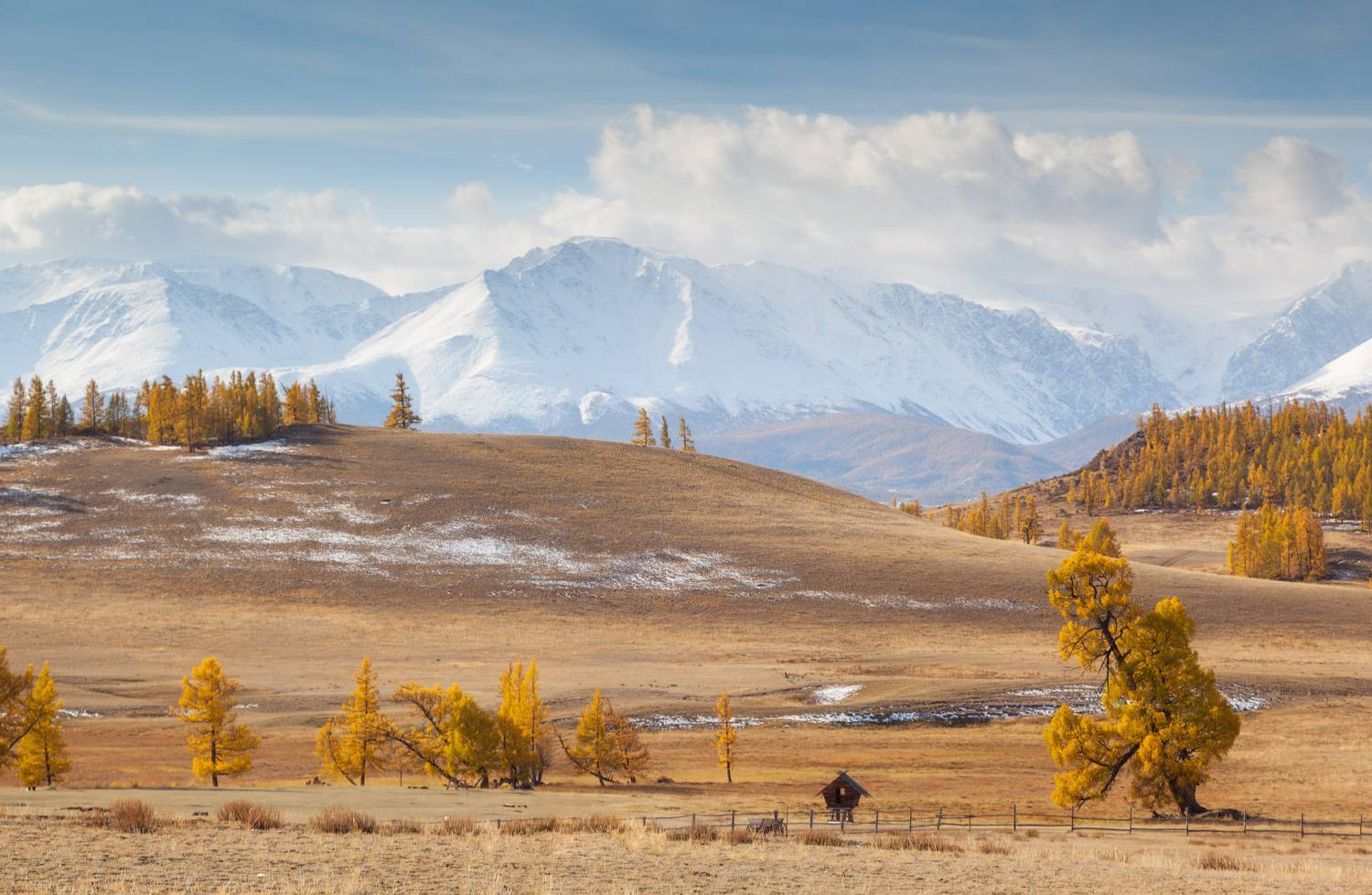 , Сергей Молоков