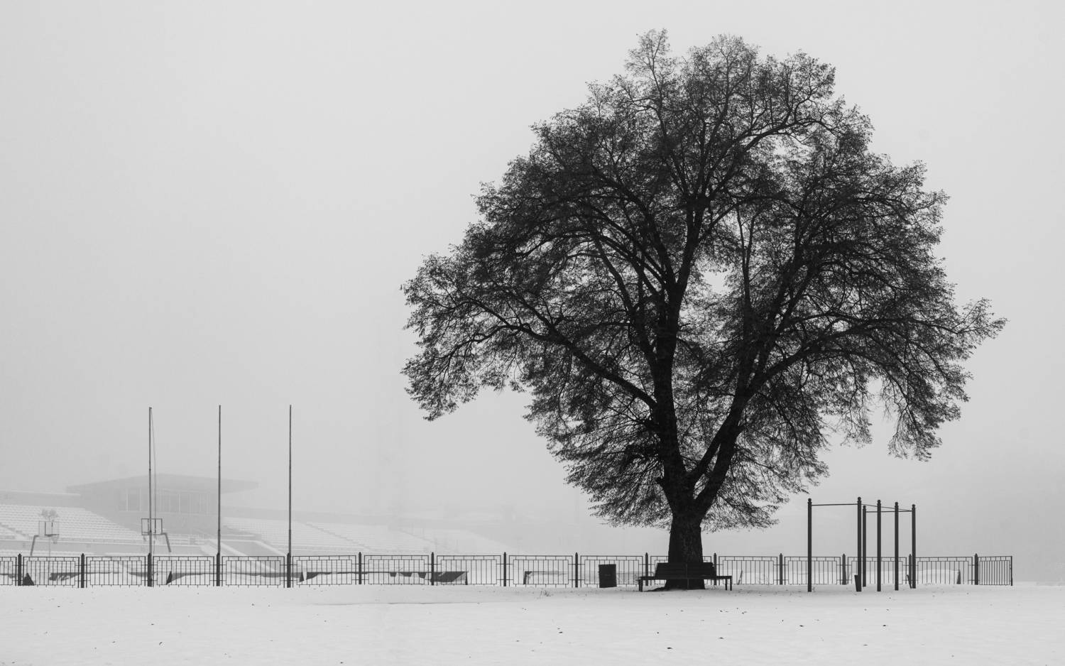, Вертиков Юрий