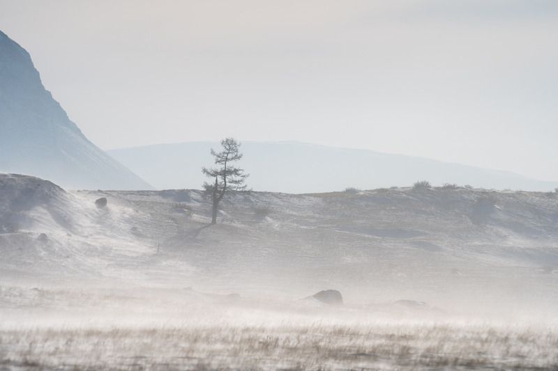 Поземок … Blizzard ... фото превью