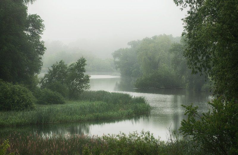 Хмурое утро с туманом фото превью
