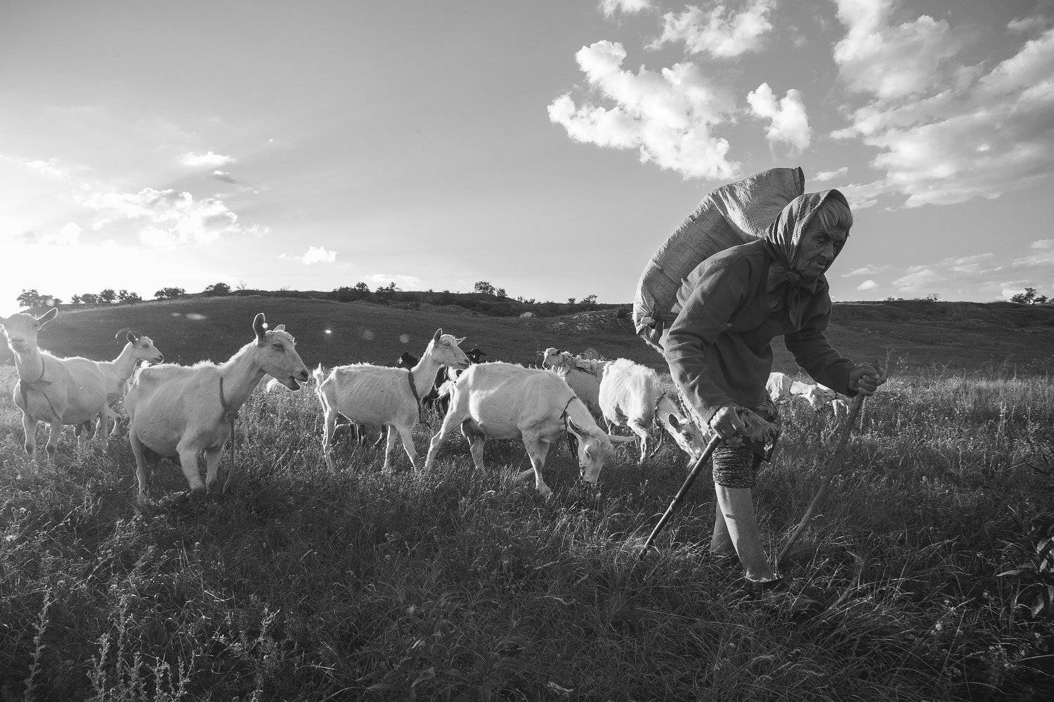 утро, в, деревне, бабушка, природа, небо, Киричай Дмитрий