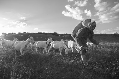 Утро в деревне