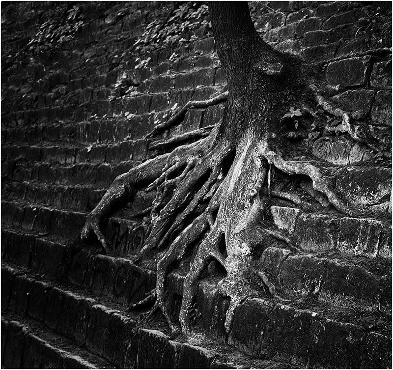 фото фото превью