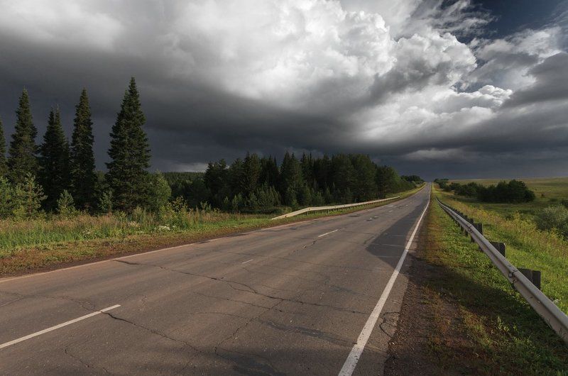 Дорога лес зелень тучи лето Дорога фото превью