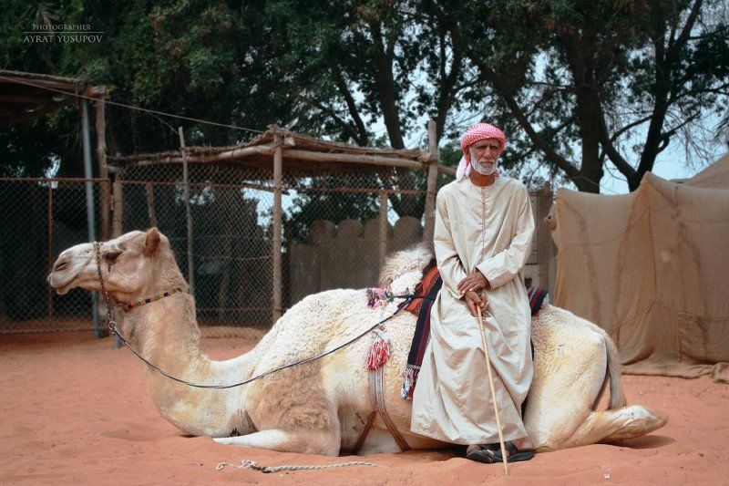 Аравия, пустыня, бедуин, женщины, восток, абая, верблюд, путешествие Аравийский триптих фото превью