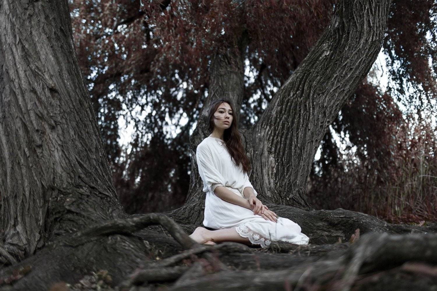 , Артем Медведев