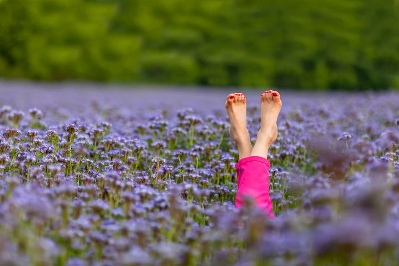 Лето, цветы, тепло, краски, радость Лето на подходе фото превью