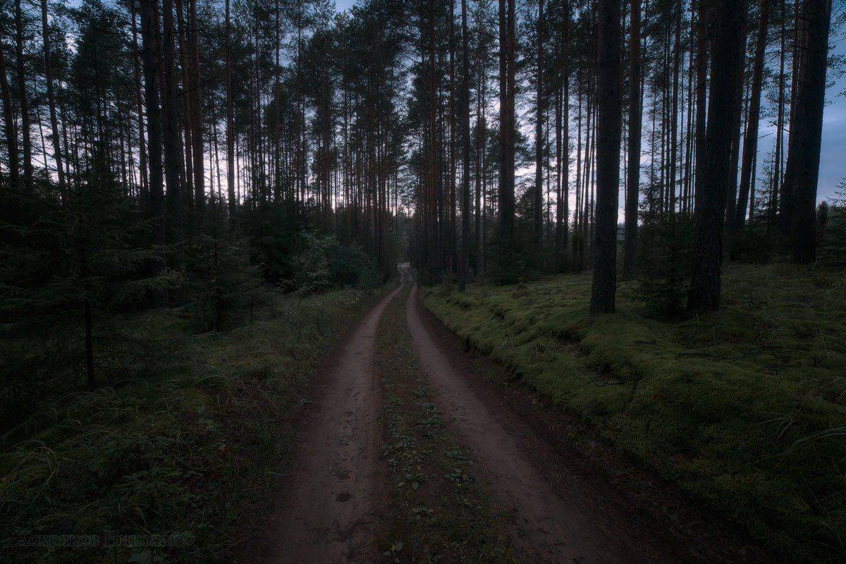 , Хохряков Николай