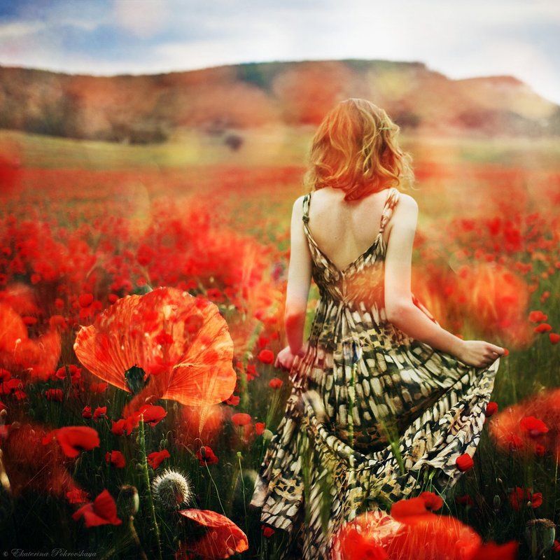 Крым маки весна цветочные истории фото превью