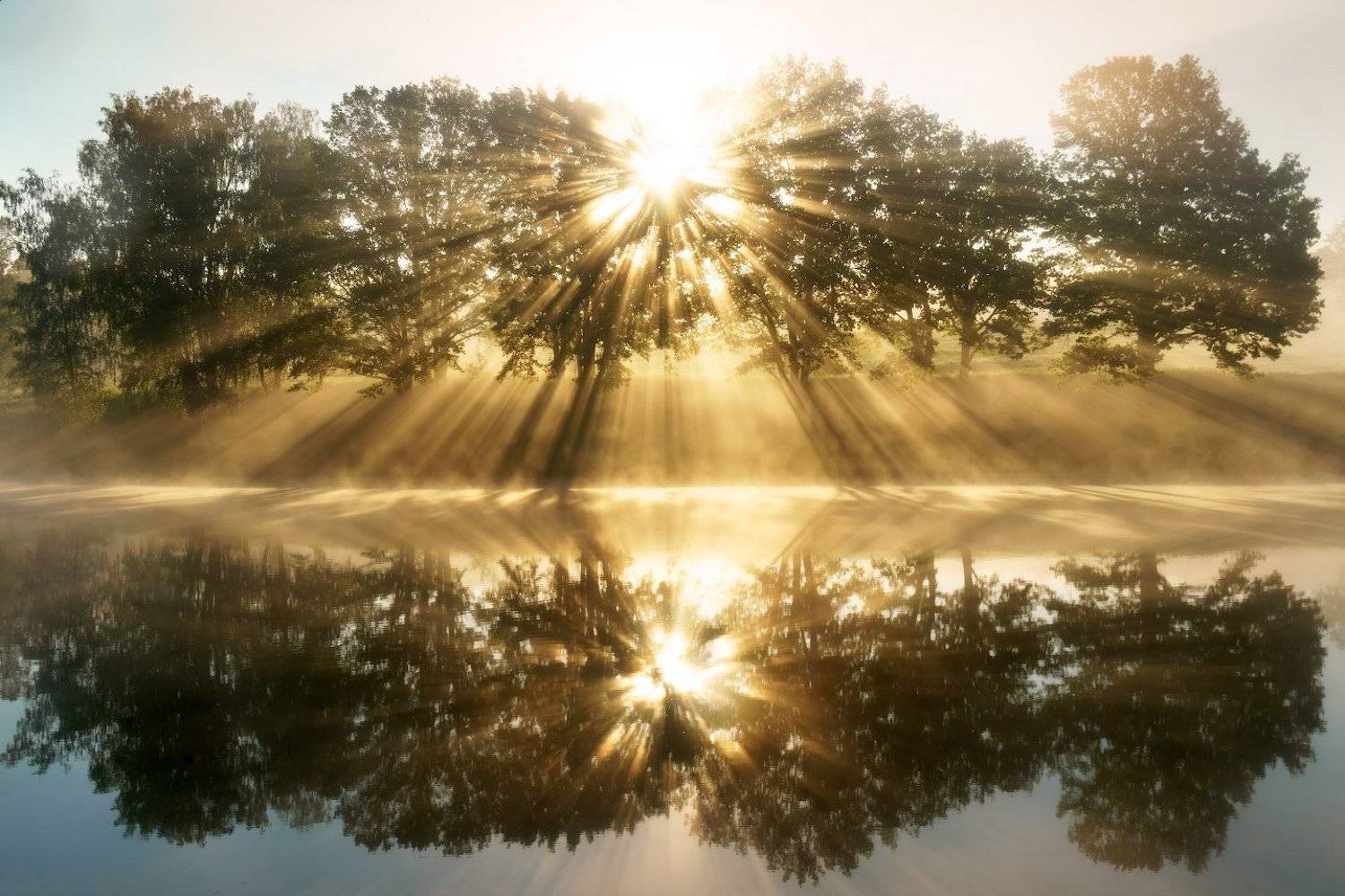 Лучи, Май, Пейзаж, Рассвет, Солнце, Туман, Утро, Будин Николай