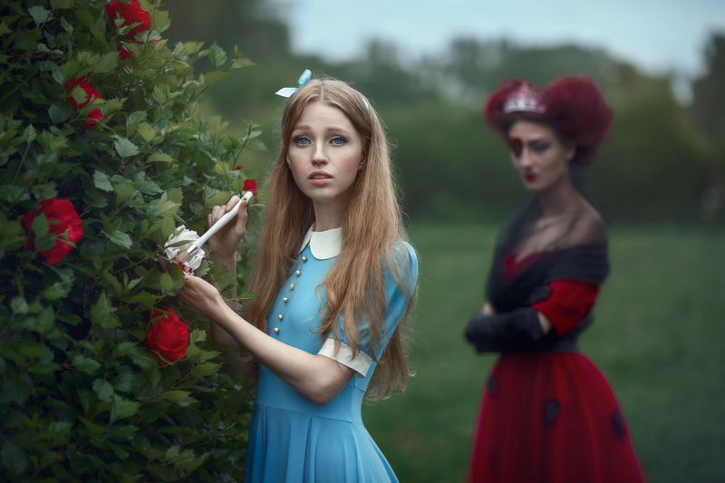 Розы фото превью