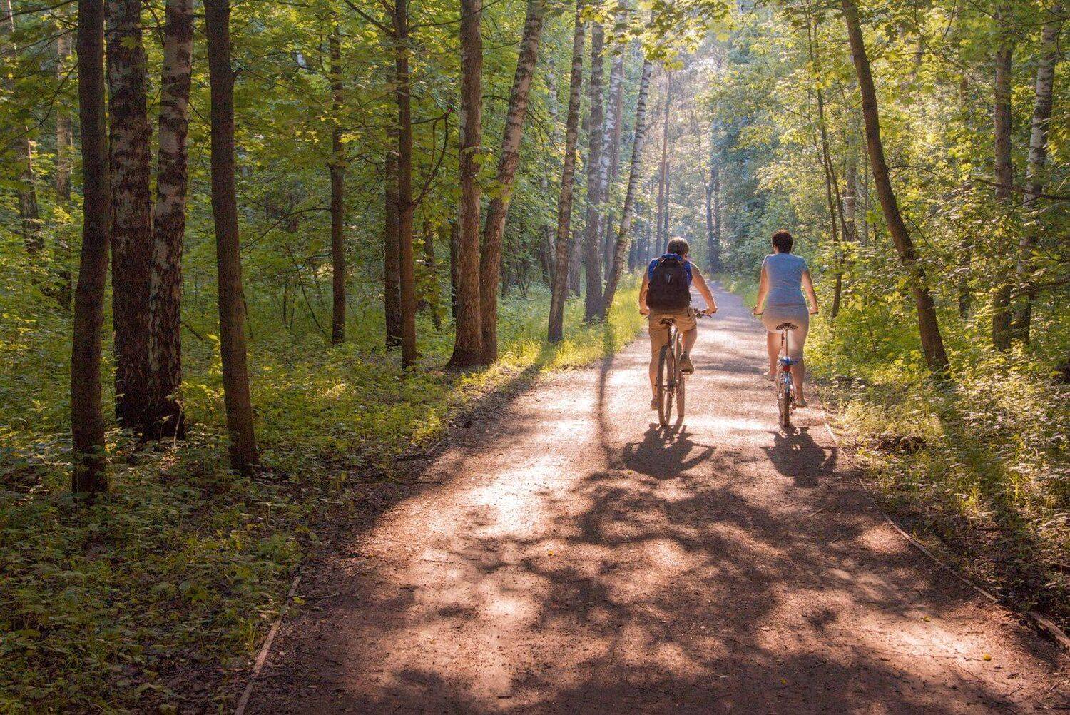 Велосипеды, Дорожка, Кузьминки, Лес, Парк, Парочка, Солнце, Виктор Климкин