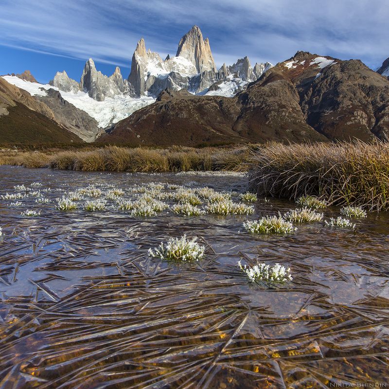ёжики на льду фото превью