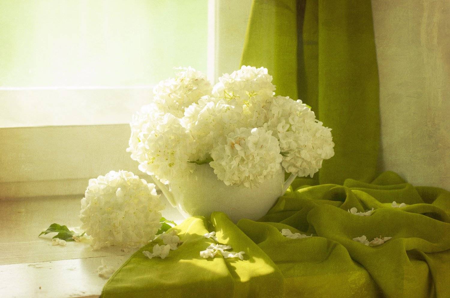 , Синегубова Ольга