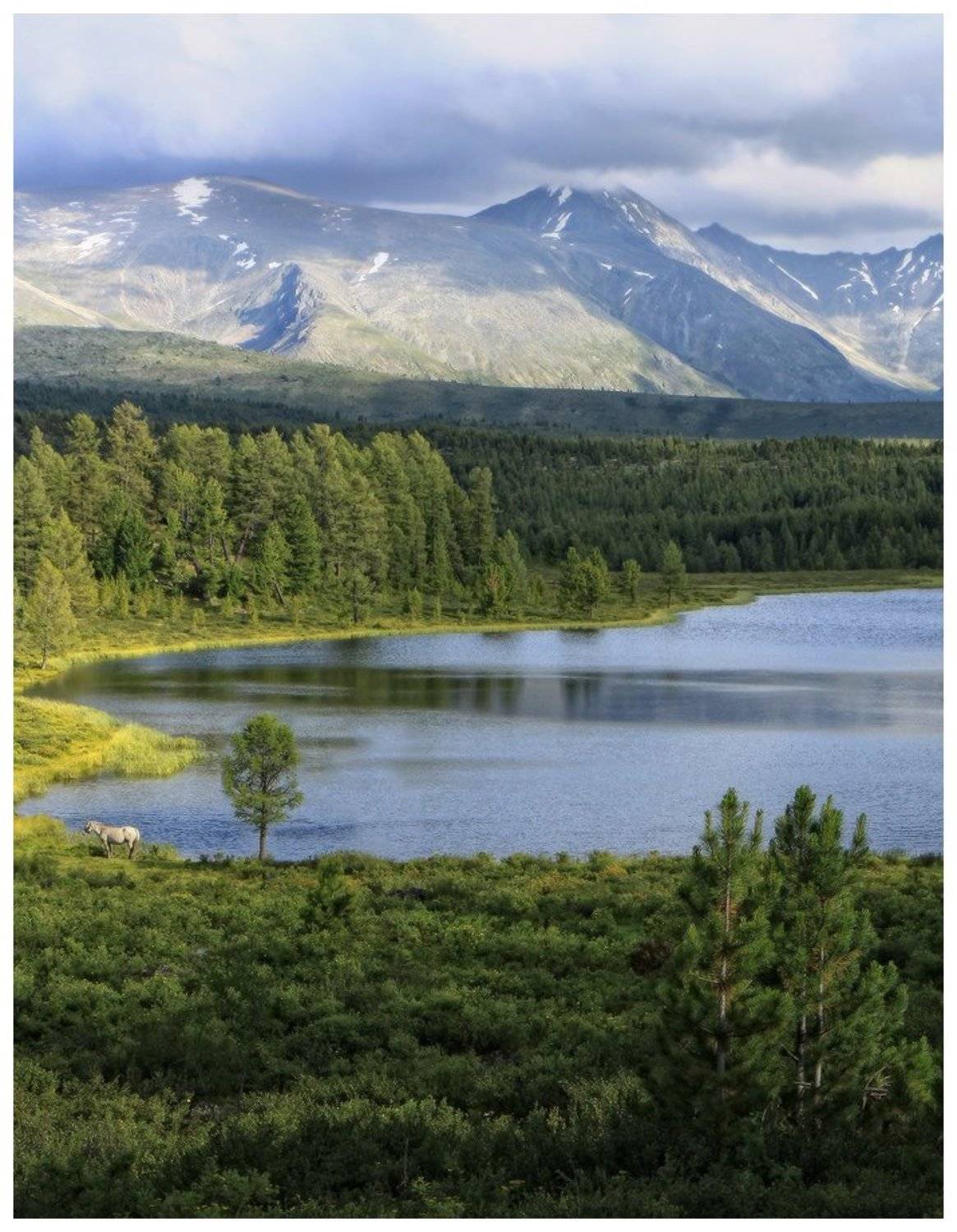 , Галина Хвостенко