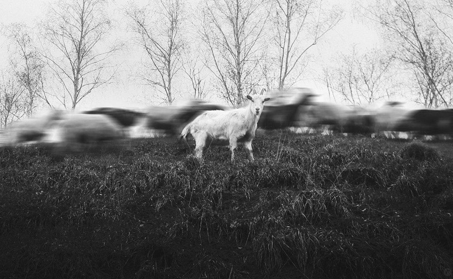 , Фролова Евгения